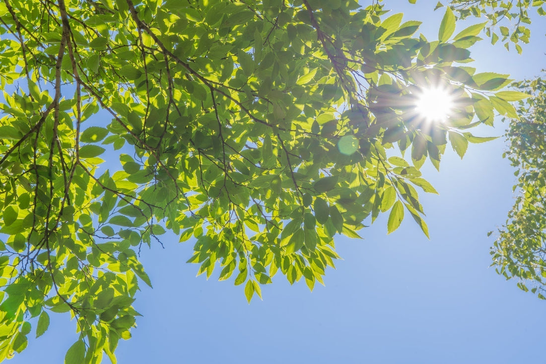 夏こそ「保湿」が必要な理由。汗で潤っていると勘違いしていませんか？