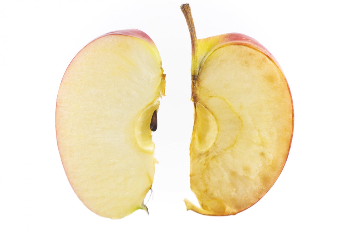 肌の「サビ」を防ぐには？3年半の現場経験で感じた抗酸化ケアの大切さと、私のルーティン