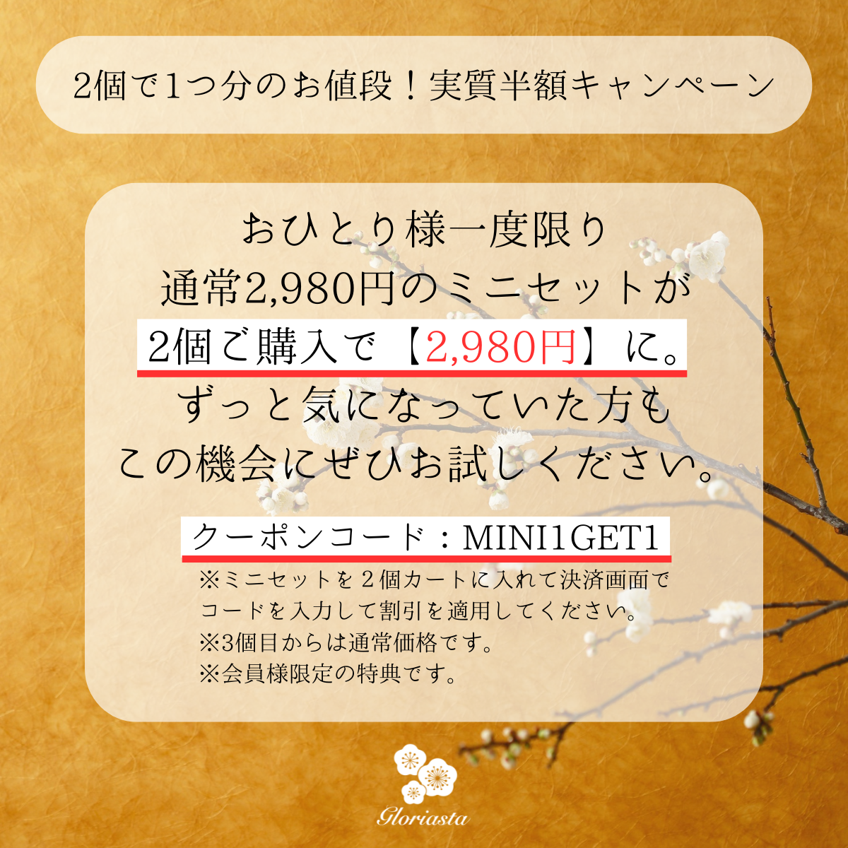 Gloriasta 化粧水＆クリーム ミニセット